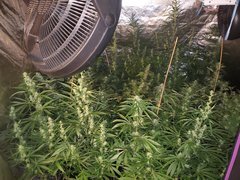 IMG_20200808_212615.jpg