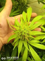 IMG_20200814_232126_3