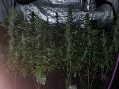IMG_20200816_094852.jpg