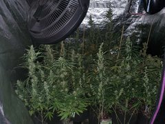 IMG_20200816_094905.jpg