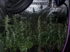 IMG_20200816_094938.jpg