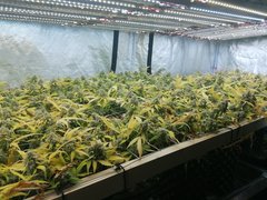 IMG_20200820_202825.jpg