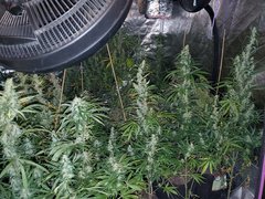 IMG_20200822_212455.jpg