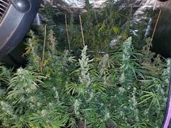IMG_20200822_212514.jpg