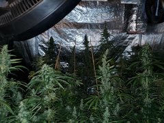 IMG_20200822_212522.jpg