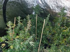 IMG_20200822_212601.jpg