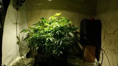 IMG_20200823_182141619_cleaned.jpg