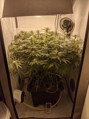 IMG_20200829_194647.jpg