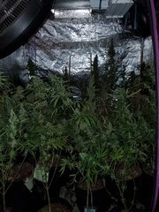 IMG_20200830_204402.jpg