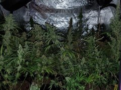 IMG_20200830_204415.jpg