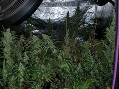 IMG_20200830_204421.jpg