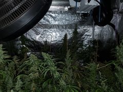 IMG_20200830_204443.jpg