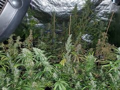 IMG_20200830_204450.jpg
