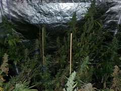 IMG_20200830_204507.jpg