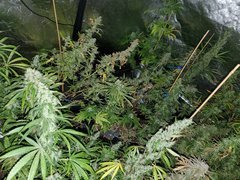 IMG_20200830_204514.jpg