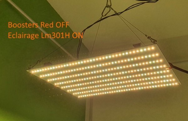 QB XL - LM301H only.jpg