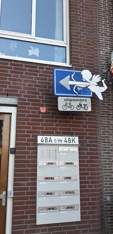 20200731_172520.jpg