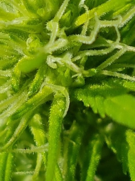 20200916_131612.jpg