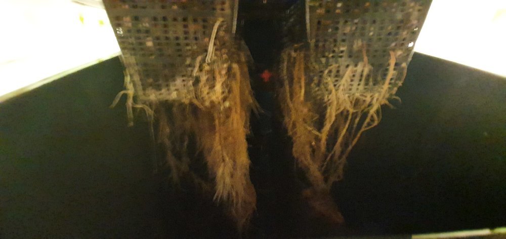 20200919_212137.jpg
