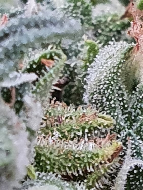 20200920_090748.jpg