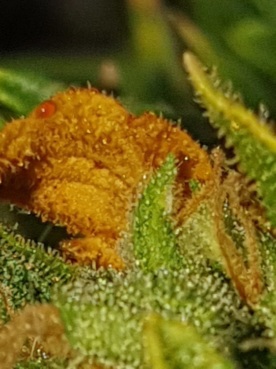 20200920_092117.jpg
