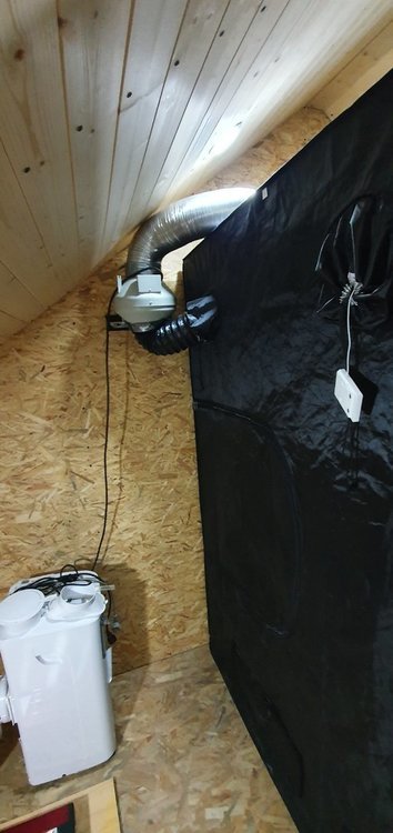 20200930_102646.jpg