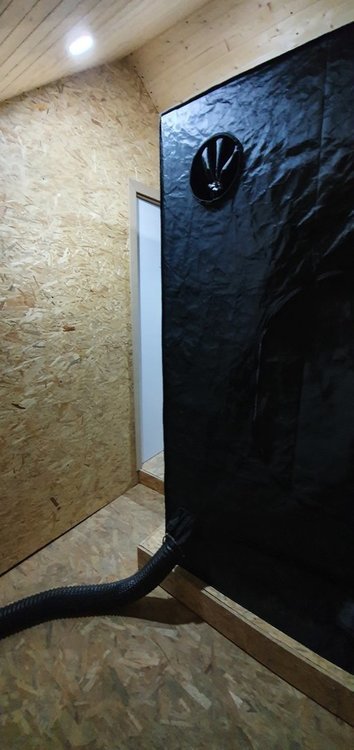 20200930_102712.jpg