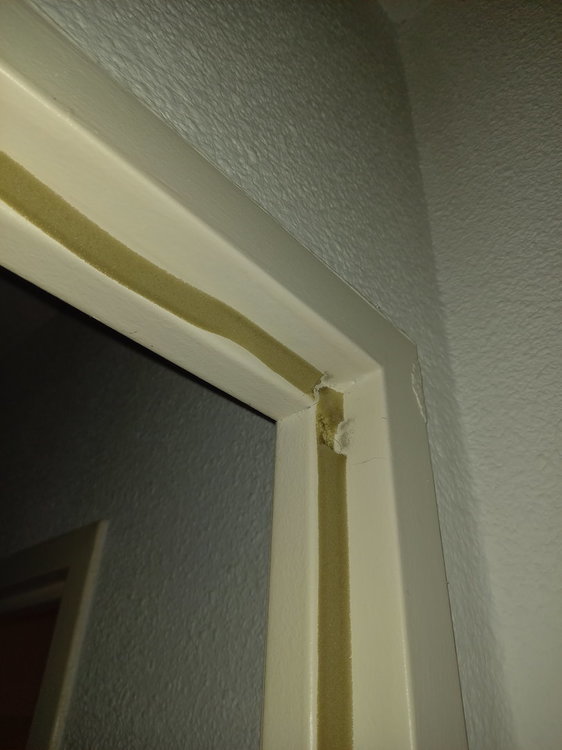 20200930_191200.jpg