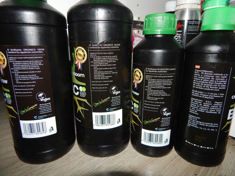 DSCN9566.JPG