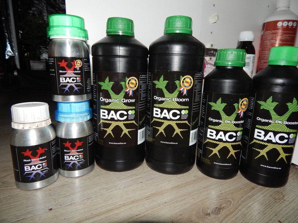 DSCN9567.JPG