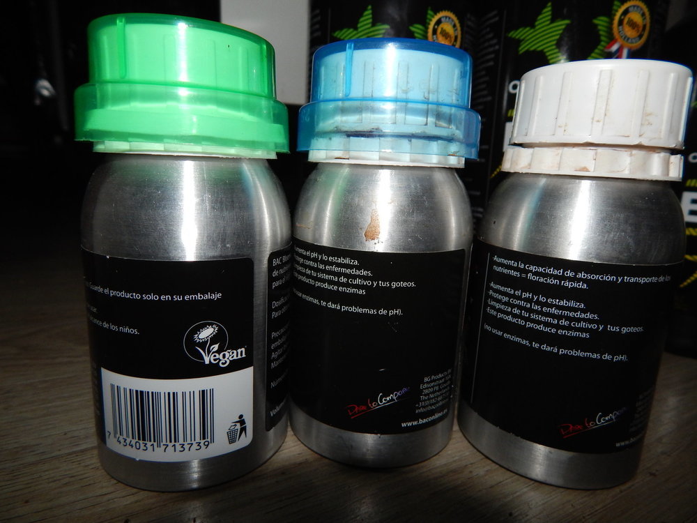 DSCN9568.JPG