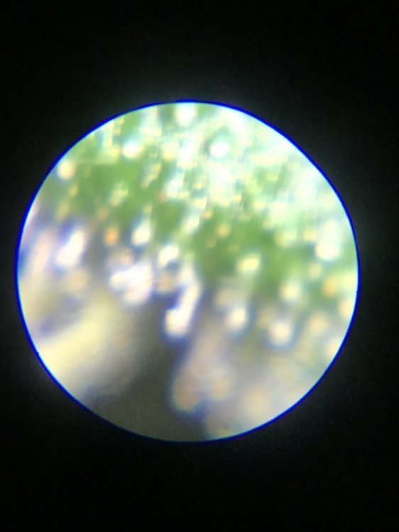 E2328C59-9AAB-4C44-9BA4-132DA4011544.jpeg