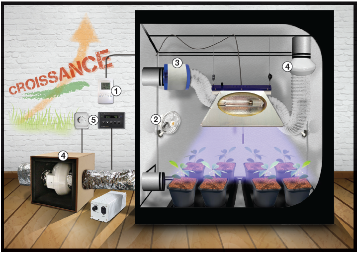 grow-room.PNG.450f187427a67e140511ec30910de39e.PNG