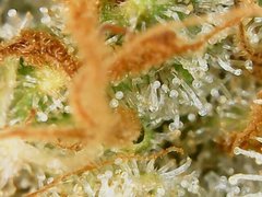200906_193631_cleaned.jpg
