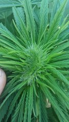 20200901_182718.jpg