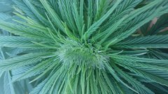 20200901_182727.jpg