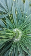 20200907_185418.jpg