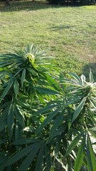 20200911_182301.jpg