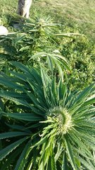 20200911_182305.jpg