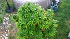 20200916_081033.jpg