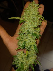 20200918_202357.jpg