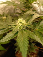 20200925_200219.jpg