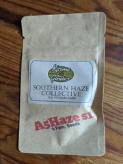 A5Haze S1 - Southern Haze Collective - Karma Genetics