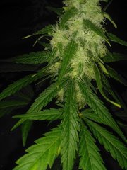 IMG_20200902_092654.jpg