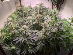 IMG_20200904_193055.jpg
