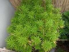 IMG_20200905_104505.jpg