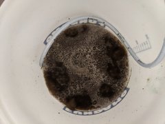 IMG_20200909_131510.jpg