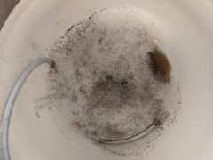 IMG_20200910_081257.jpg