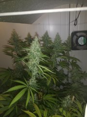 IMG_20200914_081640.jpg