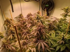 IMG_20200918_233226.jpg